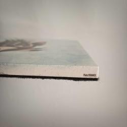 El Yapımı Balıklı Nihale - Fransa