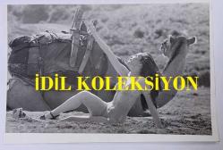 YEŞİLÇAM'IN UNUTULMAZ OYUNCUSU LEYLA SAYAR'IN ORİJİNAL 2'Lİ FOTOĞRAF SETİ - 18 x 12 cm EBADINDA - LEYLA SAYAR, BİKİNİLİ OLARAK DEVENİN YANINDA POZ VERİRKEN ÇEKİLMİŞ 2 ÖZEL KARE