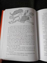 SEVDALI BULUT - NAZIM HİKMET