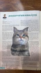 MASA KÜLTÜR SANAT VE EDEBİYAT DERGİSİ - SAYI : 60 - MART 2022 -  AYDIN SOYLU – EMRE – FATİH TERİM – ZAFER ÖĞER – SEDAT BALKANLI – ŞÜKRAN BALKANLI – EFE BALKANLI – UĞUR BALKANLI – ORHAN ZEKİ AK – MUSTAFA DENİZLİ – RIDVAN – ÜMİT AKTAN – ERCAN TANER – VAN BASTEN – KADINLARIN SAVUNMA YÖNTEMLERİ – FENERBAHÇELİ EMRE’NİN RÖPORTAJI – BEŞİKTAŞ KALECİSİ ZAFER ÖĞER’İN SORU TAHTASI – BURSASPORLU SEDAT BALKANLI’NIN AİLE MUTLULUĞU – GALATASARAY’IN TRANSFER HEDEFLERİ – AZRA AKIN – EDA ERDEM – DAVID BOWIE – PETER BEARD – MAHFI EĞİLMEZ – MOR VE ÖTESİ – MERT BÜLENT UÇMA – PELİN TURGUT – GÜZELLİK ALGISI – SOSYAL SORUMLULUK – KADIN VE EŞİTLİK – EDA ERDEM’İN LİDERLİĞİ – SANAT VE SPORUN KESİŞİMİ – AYŞEN İNCİ – GLİ – OBAMA – TAYYİP ERDOĞAN – KARAOĞLAN – KARAKIZ – SIRNAŞIK – ZİLLİ – NAZLI – PATİ – ZEYTİN – SARAH JIO – VALENTINA – CHERYL STRAYED – DAVE GROHL – MARGARET ATWOOD – PELİN TURGUT – MAHFI EĞİLMEZ – MOR VE ÖTESİ – MERT BÜLENT UÇMA – AYASOFYA’NIN KRALİÇESİ GLİ – ÇOCUKLAR VE YARDIM ÇALIŞMALARI- 48 SAYFA