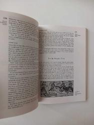 Resim Sanatının Tarihi