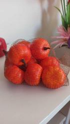 hureggo conceot dekoratif yapay minyatür kabak seti 10'lu