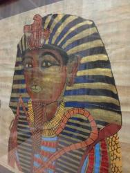 Papirüs Tablo -çerçeveli ve camlı