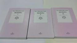 DELİKANLI  [ 3 CİLT TAKIM ]