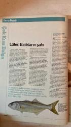 MOTOR BOAT DERGİSİ - AĞUSTOS 2008 SAYI: 89  ERMAN YERDELEN - AYDIN DEMİRER - ÖZGÜR YİCİ - HAKAN TURPÇU - SELCEN TANINMIŞ - BARIŞ DEMİR - SAMET ÖZÇELİK - AYDAN AÇIKALIN - IRMAK FOSTER - ZİYA SALTIK - ÖZCAN ERDAL - DİNÇER DİNÇ - BAHAR ONAN - ATALAY ÖZOCAK - SAFFET ÜÇÜNCÜ - BURCU BÜLBÜL - YILMAZ BAYAZITOĞLU - CAN GİRAY - HALUK BABACAN - EMİR KUNT - VAROL ATALAY - NOYAN MUTLUGİL - AHMET KARATÜN - SELİM KAKIŞ - ALİ ADABEYİ - SANER GÜLSÖKEN - OYLUM YILMAZ - CEM AYDIN - GÖRKEM YAŞAYAN - HİKMET BİLA - KEMAL CAN - CELAL PİR - DİDEM YILDIZ - BANU ACAR - FUNDA TURAN - BARIŞ KESKİN - ŞEBNEM DÜZCÜ - MUSTAFA ÇARDAK - DENİZ İNSEL - SENA UZUNOĞLU - BETÜL ERGEN - ŞAFAK ALTUN - YAKUP AKYILDIRIM - ÖZDEMİR ÇALLI - SİREN ULUDAĞ - CAN PAPUÇÇUOĞLU - ÖZGÜR AKHAN - ESRA ACAR - MİNE AYRANCI - ÖZGÜÇ YİĞİT - FATİH MURAT EYİOĞLU - DENİZ GULİYEVA  MÜRETTEBAT NASIL SEÇİLİR? - START HATTI: DENİZ KUVVETLERİ KUPASI, DOĞU EGE YELKEN HAFTASI, NOSTALJİ CUP - DÜMENDE F1 PİLOTU LEWIS HAMILTON  – TAM TAKIM EKSİKSİZ 160 SAYFA