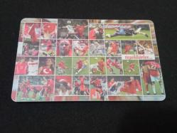 T.TELEKOM 2002 FIFA DÜNYA KUPASI - KORE - JAPONYA