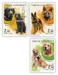 TC  2020 YARDIMCI REHBER KÖPEKLER TAM SERİ