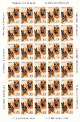 TC  2020 YARDIMCI REHBER KÖPEKLER TAM  TABAKA  30 LU SERİ