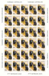 TC  2020 YARDIMCI REHBER KÖPEKLER TAM  TABAKA  30 LU SERİ