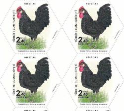 2019 HOROZLAR  OCTAGONAL SERİ 4LÜ  BLOK