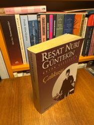 Çalıkuşu / Reşat Nuri Güntekin (Tam Metin)
