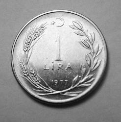 495// 1 Lira (1977) çil