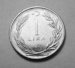 496// 1 Lira (1977) çil