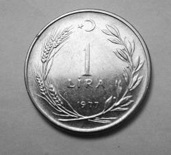 499// 1 Lira (1977) çil
