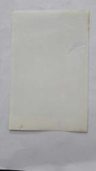 YEŞİLÇAM OYUNCUSU ve 1969 TÜRKİYE GÜZELİ ZUHAL AKTAN'IN ORİJİNAL 3'LÜ FOTOĞRAF SETİ - 18 x 12 cm EBADINDA - ZUHAL AKTAN, AİLE BİREYLERİYLE HATIRA POZLARI VERİRKEN ÇEKİLMİŞ 3 FARKLI KARE