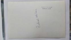 YEŞİLÇAM OYUNCUSU ve 1969 TÜRKİYE GÜZELİ ZUHAL AKTAN'IN ORİJİNAL 5'Lİ FOTOĞRAF SETİ - 18 x 12 cm EBADINDA - ZUHAL AKTAN, MAYOSUYLA DENİZ KENARINDA GÜNEŞLENİRKEN ve TEKNEDE POZ VERİRKEN ÇEKİLMİŞ 5 FARKLI KARE... ÖZEL ARŞİV (HASAN SAVRAN. MARMARA ADASI)