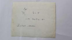 YEŞİLÇAM OYUNCUSU ve 1969 TÜRKİYE GÜZELİ ZUHAL AKTAN'IN ORİJİNAL 2'Lİ FOTOĞRAF SETİ - 19,5 x 16 ve 17,5 x 14,5 cm EBADINDA - ZUHAL AKTAN, HAVUZ KENARINDA EFES PİLSEN REKLAM YAZILARI ÖNÜNDE GÜNEŞLENİP POZ VERİRKEN ÇEKİLMİŞ 2 FARKLI KARE