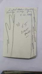 YEŞİLÇAM OYUNCUSU ve 1969 TÜRKİYE GÜZELİ ZUHAL AKTAN'IN ORİJİNAL FOTOĞRAFI - 18 x 12 cm EBADINDA - ZUHAL AKTAN, GÜZELLİK KRALİÇESİ SEÇİLDİĞİ 1969 ULUSLARARASI GÜZELLİK YARIŞMASINDAYKEN ÇEKİLMİŞ BİR KARE