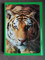 Tiere wie sie wirklich leben