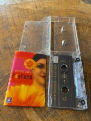 AYŞEGÜL - FARFARA - KASET