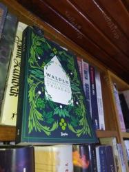 WALDEN - ORMANDA YAŞAM