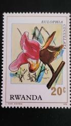 1976 YILI RUANDA ORKİDELER DAMGASIZ ŞARNİYERSİZ