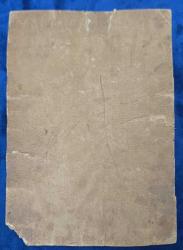 23x17 cm Kadın ve Çocuklardan Oluşan Eski Topluluk Fotoğrafı, Haliyle