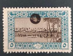 LOT.8 » 1919 Vahdeddin Cülus- hatıra pulu- damgasız zamksız