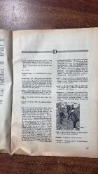 TERCÜMAN ÇOCUK DERGİSİ - 21 ŞUBAT 1986 SAYI : 8 KEMAL ILICAK - REFİK ÖZDEK - NUR İÇÖZÜ - SELAHATTİN ASLAN - R. Ö. - MUSTAFA DENİZHAN - TÜRKER - SAVAŞ GÖKTUĞ - MUSTAFA YAPICI - ALİ YUSUFOĞLU - RAMAZAN AYNA - TEMEL MERCAN - FUAT MERTER - ÖMER İSKENDER - CENGİZ AKALIN TULUK - VETHA TÜYSÜZ - AHMET AKÇIN - MUSTAFA BAYBEK - YÜKSEL CESUR - İBRAHİM DÜNDAR - KÜRŞAD TÜFEKÇİ - MURAT ŞEN - MARKO POLO - FERRUCIO - KUBİLAY HAN - EMİR HAMAŞ - KARA - TUNGA - OHAMA - SAM - ILSA - OLK - HZ. MUHAMMED - HZ. EBUBEKİR  BU SAYIDA - TÜRKÇE SÖZLÜK - İMLA KILAVUZU - YILIN BÜYÜK ÇEKİLİŞİ YAPILDI - BU ÇAĞ SİZİN - SPAGETTİ - SPOR - HEDİYE KAZANANLAR - SİZİN GÖNDERDİKLERİNİZ - GÜLMECE GÜLDÜRMECE - TELEVİZYON SİNEMA - BİLMECE BULMACA - TUNGA - TENGİZ - MİNİ GAZETE - MARKO POLO - SEMA NASIL BİR DANSTIR - BALIK KAVAĞA ÇIKAR MI - POSTA KUTUSU - DÜNYANIN EN KALABALIK ÜLKESİ - TUNGA KAN VE KANUN  -  34 SAYFA