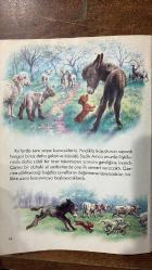 AYŞEGÜL VE MİNİK SIPA ÇOCUK DERGİSİ - MİNİK SIPA HİKAYESİ  - 16 SAYFA