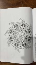 SABAH GAZETESİ EKİ,  RENKLİ DÜNYALAR DERGİSİ - BOYAMA KİTABI - 20 SAYFA