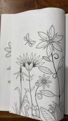 SABAH GAZETESİ EKİ,  RENKLİ DÜNYALAR DERGİSİ - BOYAMA KİTABI - 20 SAYFA