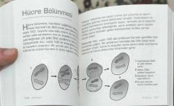 Dakikalar İçinde Bilim