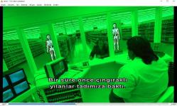 natural born killers dvd  (PC'de denenmiştir/izlenmiştir) woody harrelson juliette lewis robert downey  (katil doğanlar)