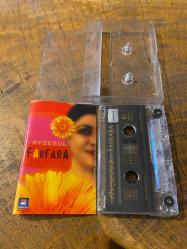 AYŞEGÜL - FARFARA - KASET