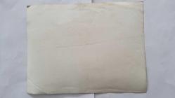 YEŞİLÇAM OYUNCUSU NİLÜFER AYDAN'IN ORİJİNAL BÜYÜK BOY FOTOĞRAFI - 24 x 18 cm EBADINDA - NİLÜFER AYDAN BİR KUTLAMA PARTİSİNDE EĞLENİRKEN ÇEKİLMİŞ BİR KARE