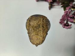 Polis  Emniyet Genel Müdürlüğü Plaket - Metal Polis Rozet