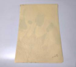 Ebru Sanatı - El İşi Ebru - Çiçek Desenli - Duvar Dekoru - Sanatçı: Muhammed Aydın - 2013 Tarihli - Yeşil - Kırmızı Renkli