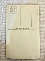 Avrupa manzara temalı siyah beyaz eski kartpostal