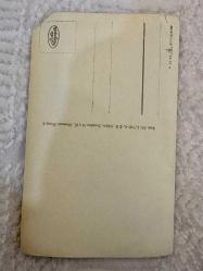 Avrupa Şelale manzara temalı siyah beyaz eski kartpostal köşesi yırtık