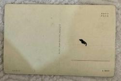 Avrupa manzara temalı siyah beyaz eski kartpostal