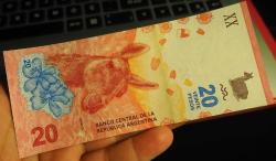 ARJANTİN 20 PESO ÇİL