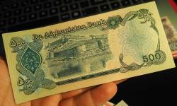 AFGANİSTAN 500 AFGANİ ÇİL
