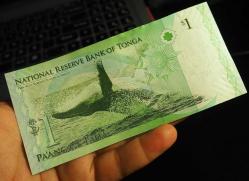 TOBGA KRALLIĞI 1 PAANGA ÇİL