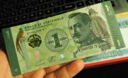 GUETAMELA 1 QUETZAL ÇİL