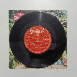 Hülya SÜER Asmam çardaktan - tepsi tepsi fındıklar