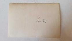 YEŞİLÇAM'IN YILDIZI HÜLYA KOÇYİĞİT'İN ORİJİNAL FOTOĞRAFI  - 18 x 12 cm EBADINDA - HÜLYA KOÇYİĞİT ÇİÇEKLERİN ÖNÜNDE GÜLÜMSEYEREK POZ VERİRKEN ÇEKİLMİŞ BİR KARE