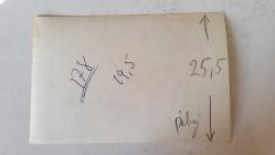 YEŞİLÇAM'IN YILDIZI HÜLYA KOÇYİĞİT'İN ORİJİNAL FOTOĞRAFI  - 18 x 12 cm EBADINDA - HÜLYA KOÇYİĞİT DENİZ KENARINDA KURTKÖPEĞİNİ SEVERKEN ÇEKİLMİŞ BİR KARE