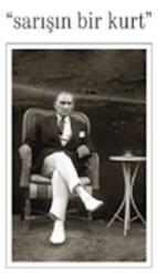 Sarışın Bir Kurt - 2008 Yılı Ciltli, Kuşe Kağıda, Resimli, İlk Baskısı