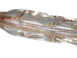 OSMANLI DÖNEMİ BEYKOZ KOKU ŞİŞESİ